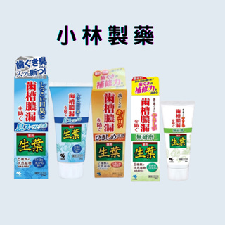 【日本連線】日本製小林製藥生葉齒槽 齒槽膿漏 潔淨 抗敏 牙膏 100g 抗敏感牙膏 EX 護齦 預防牙齦發炎 抗敏牙膏