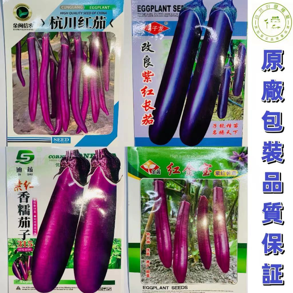 【原包裝正品】包對版包發芽 茄子種子 高產抗病早熟型 限量優惠