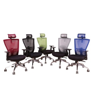 《DFhouse》帕塞克電腦辦公椅(全配)(鋁合金腳) - 5色 電腦椅 書桌椅 人體工學椅