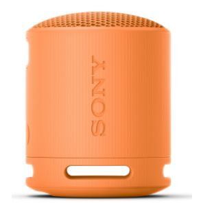 SONY SRS-XB100 可攜式 藍芽喇叭 揚聲器 XB100防水喇叭 SRSX