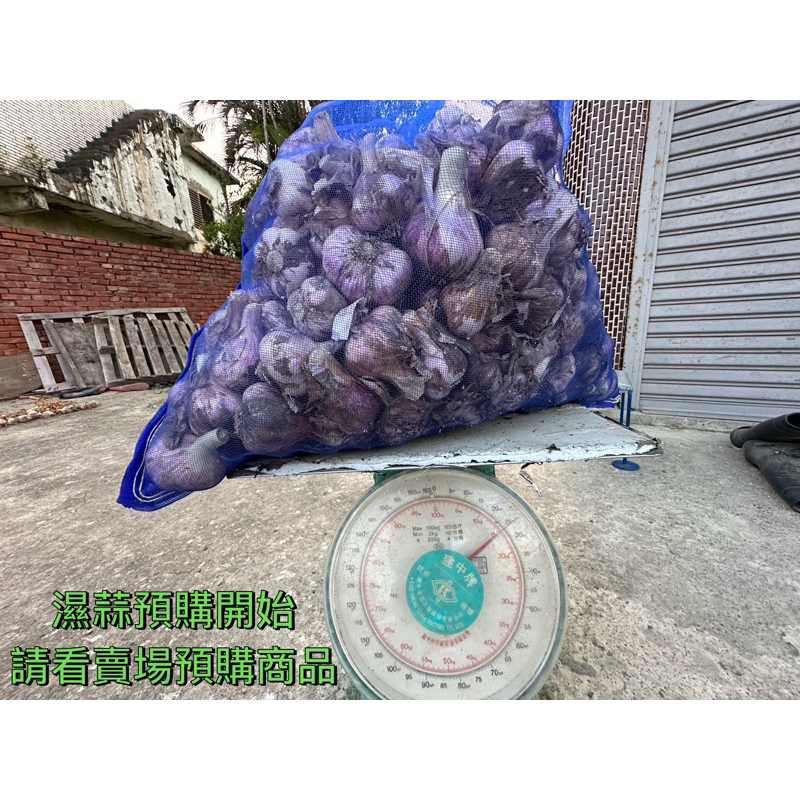 蒜頭 蒜球 整理★2024雲林口湖大蒜🧄大片黑葉🌿海口蒜🌈津美味蒜👨‍🌾中大顆🧄(以台斤計價）