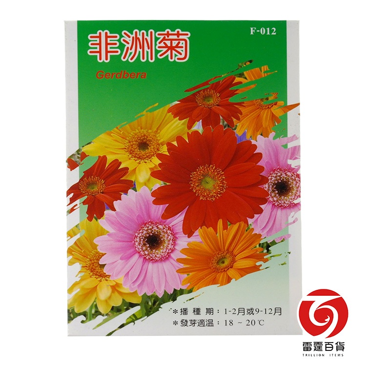 F012非洲菊-花卉種子/雷霆百貨