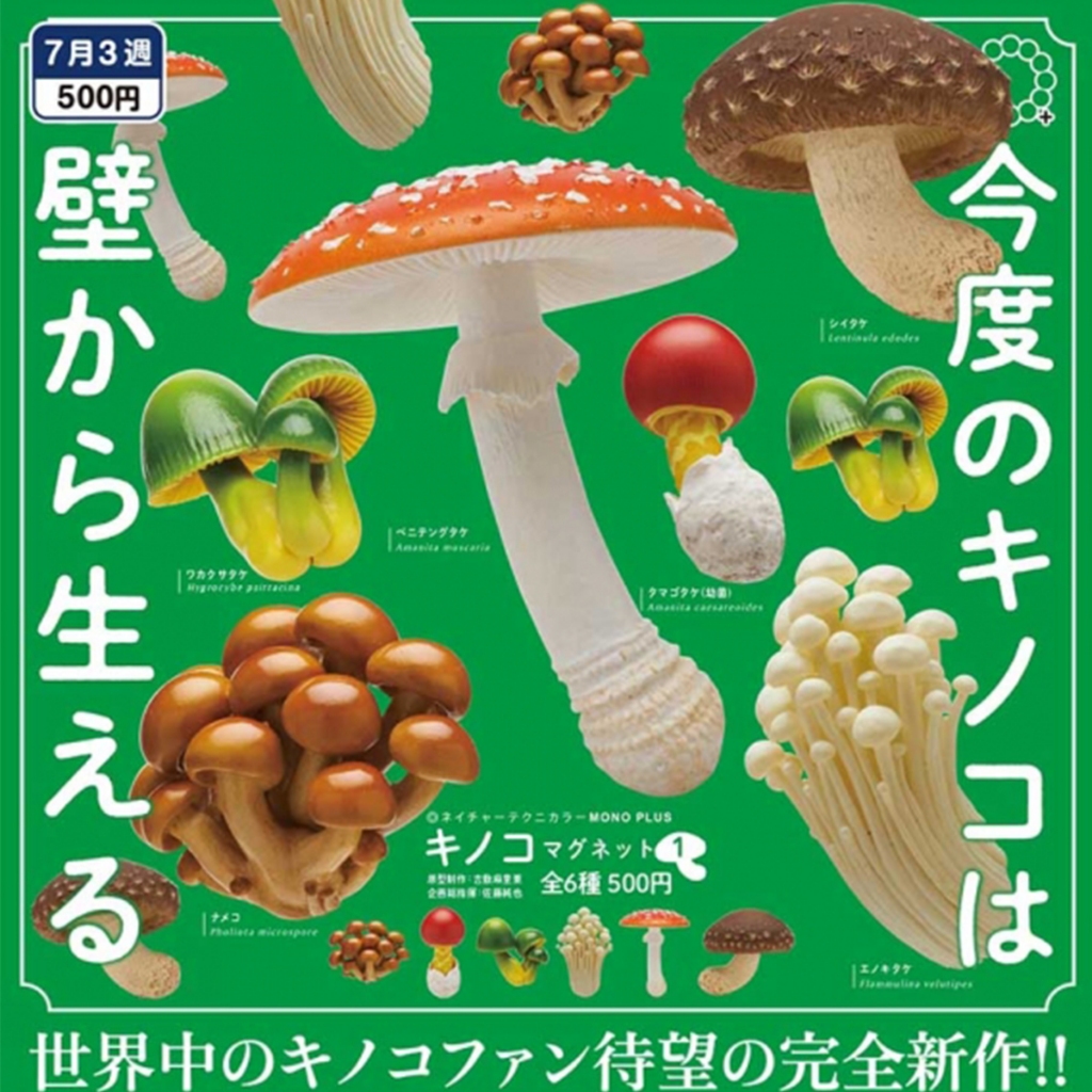 盧卡斯偷椅子｜7月預購 正版 IKIMON NTC圖鑑-蘑菇磁鐵 P1 第一彈 蘑菇蘑菇 蘑菇 磁鐵 扭蛋 轉蛋