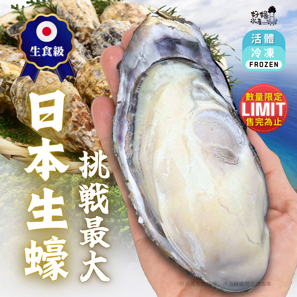 【好嬸水產】日本原裝●巨大款生食級生蠔｜250-400克以上｜4XL、5XL、JUMBO｜以顆計價｜限量稀少