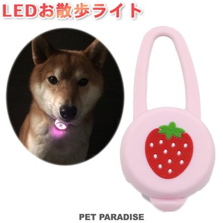 【PET PARADISE】寵物外出LED散步燈｜ PP草莓 2026經典熱賣款 寵物精品 遛狗發光 夜行安全