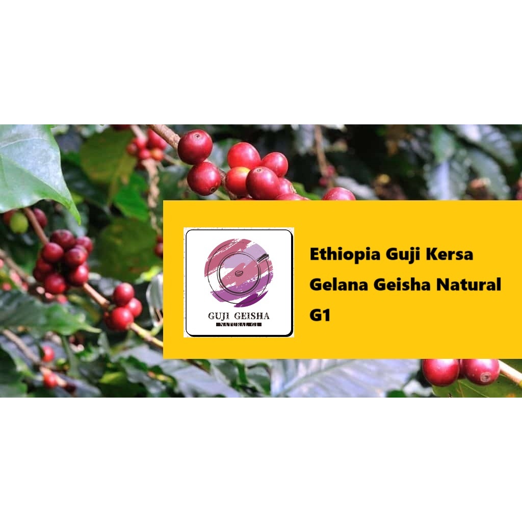 生豆︱衣索比亞 谷吉 蔻薩村 格蕾娜 藝妓 日曬 G1 COFFEE BEAN︱Click Buy＠可立買