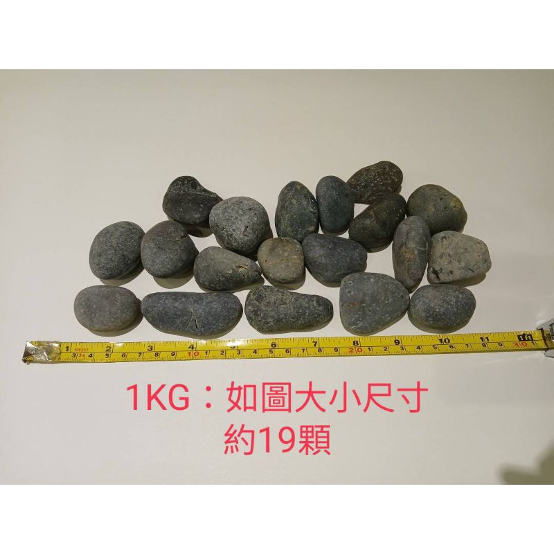 F) 1kg 石頭 圓扁石 灰白石 地舖