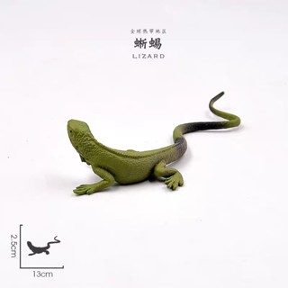 <蟹蟹你的愛2館> 斯文豪氏攀蜥(小)，擺設模型，擬真攀木蜥蜴擺飾，可愛，勿直接下標，聰明的就懂，需看扭蛋詳細圖請私訊