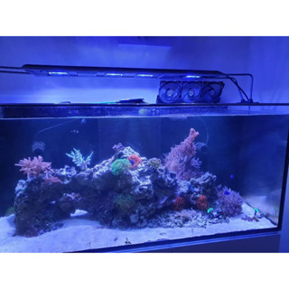 魚缸風扇支架 魚缸支架 魚缸風扇座 12cm風扇 120mm風扇 3連裝 (不含風扇)[3]