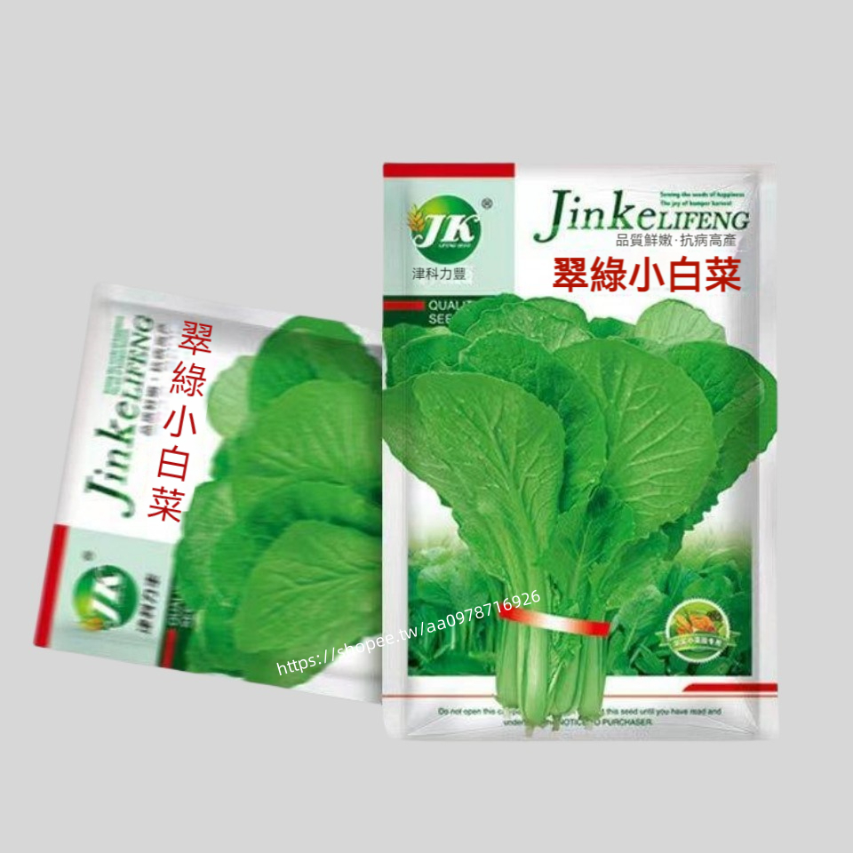 🔥翠綠小白菜🔥A12 小白菜種子 翠綠小白菜種子 一袋7g約1500粒 蔬菜種子 原廠包裝 對版出貨 發芽率高95%