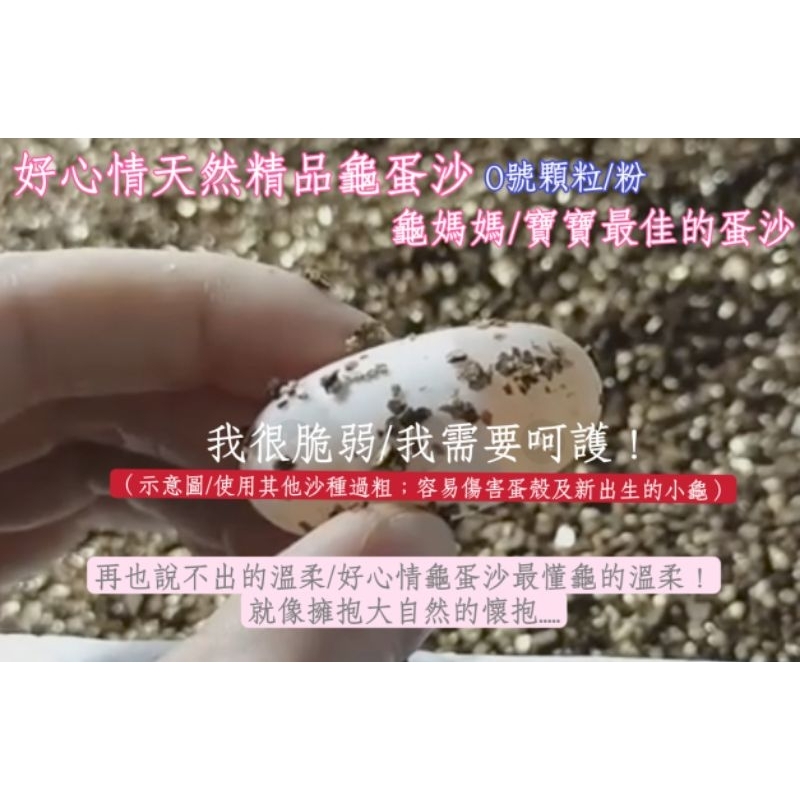 精品0號珊瑚砂/珊瑚沙、烏龜產蛋專用沙(重量+-10%）（推廣上架）、另稱珍珠沙、珠沙、黃金沙底沙或沙攤沙