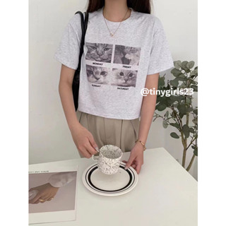 【太妮絲AB36】現貨 韓系 四格漫畫 貓咪 四格貓咪 印花 短版上衣 短袖上衣 夏季 復