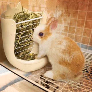 兔子食槽 兔子草架食盆二合一 防啃咬食盒 可固定食碗 荷蘭豬龍貓兔用品