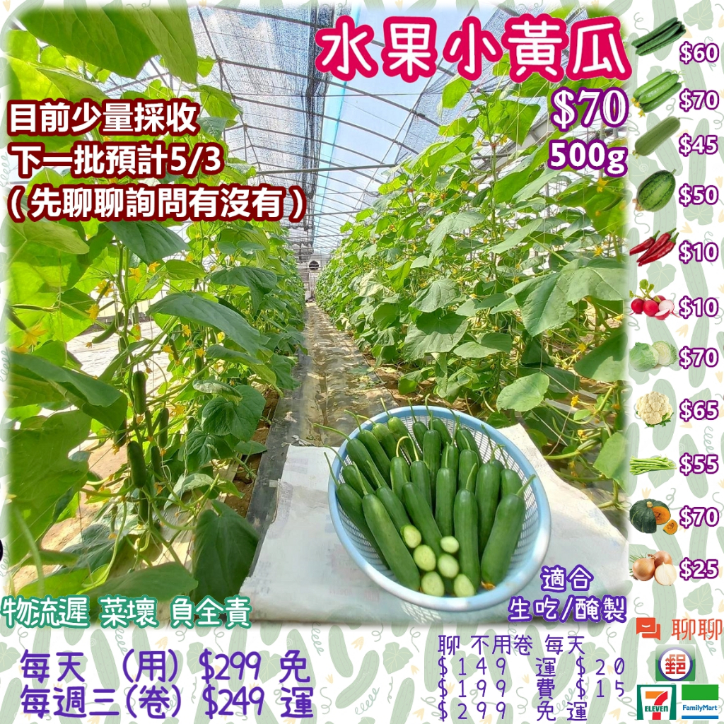 《溫室青農》水果小黃瓜 500g $70 適合生吃/醃製的水果小黃瓜,現採自產自賣,水果黃瓜煮食亦可,非小黃瓜種子