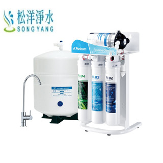 【松洋淨水】普家康 puricom快拆式 腳架型 RO逆滲透 CE6T-R3 純水機【免費安裝】