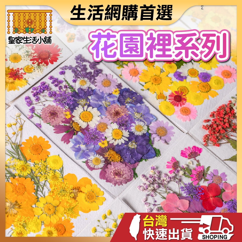 花園裡系列 壓花 真花壓花 壓花書籤 壓花材料包 乾燥花書籤 乾燥壓花 書籤DIY 押花 壓花材料 壓花DIY 滴膠