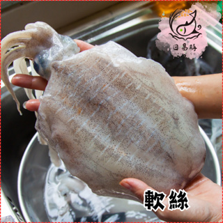 【日易購】頂級活凍軟絲(500/600g)/軟翅仔/擬烏賊/冷凍食材/海鮮