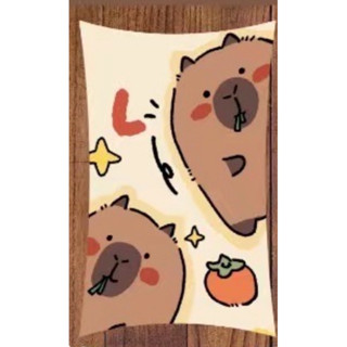 卡比巴拉雙面小枕頭/抱枕C款