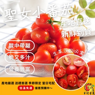 《幸村青果》滿額免運 美濃特產🍅小番茄 牛奶玉女小番茄 玉女小番茄 聖女小番茄 橙蜜小番茄 黃金小番茄 水果禮盒