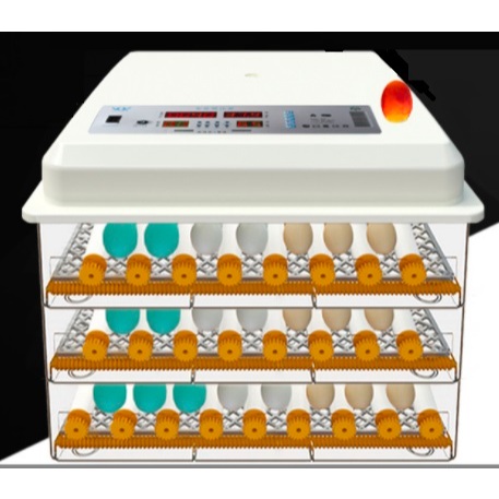 三層176枚自動翻蛋孵化器 110V+12V全自動孵蛋機 雞蛋,鳥蛋,鴨蛋,鵪鶉蛋鴿子蛋鸚鵡蛋鵝蛋