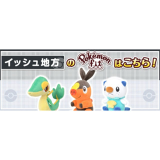 全新預購 寶可夢中心 Pokemon fit 合眾地區 御三家 藤藤蛇 暖暖豬 水水獺 玩偶 娃娃