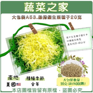 蔬菜之家滿額免運【00A53】大包裝綠捲鬚生菜種子20克(約14000顆) 進口種子，全年，適合做為沙拉.蛋餅等營養早餐