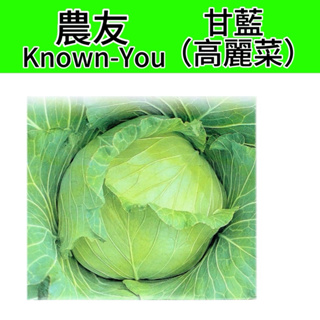 高麗菜 高麗菜種子 【農友種苗】甘藍種子 蔬菜原包裝種子 每包約100粒 保證新鮮種子