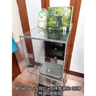 40*60*60 臺北 雨林缸 生態缸 水陸缸 箭毒蛙缸 苔癬缸 訂製缸 兩棲缸