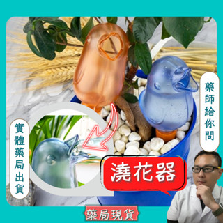 造型自動澆花器 自動澆花鳥澆花神器 懶人澆花 自動澆水工具 自動澆花工具 自動澆花器 自動澆花神器 小鳥滴水器 盆栽