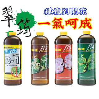 【現貨】施達B1活力素 B2成長肥 B3 開花肥B4 養葉肥組合包 每瓶300cc