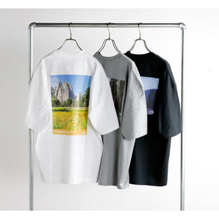 AirRoom 正品現貨 THE NORTH FACE S/S Yosemite Scenery Tee 國家公園 短T