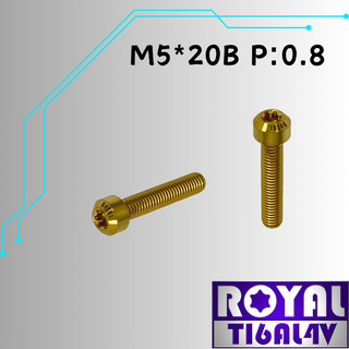 【瘋螺絲】ROYAL 鈦合金螺絲★ M5*20B P:0.8 錐形螺絲★64鈦/正鈦/鈦合金螺絲★出貨附發票 ★土豪金