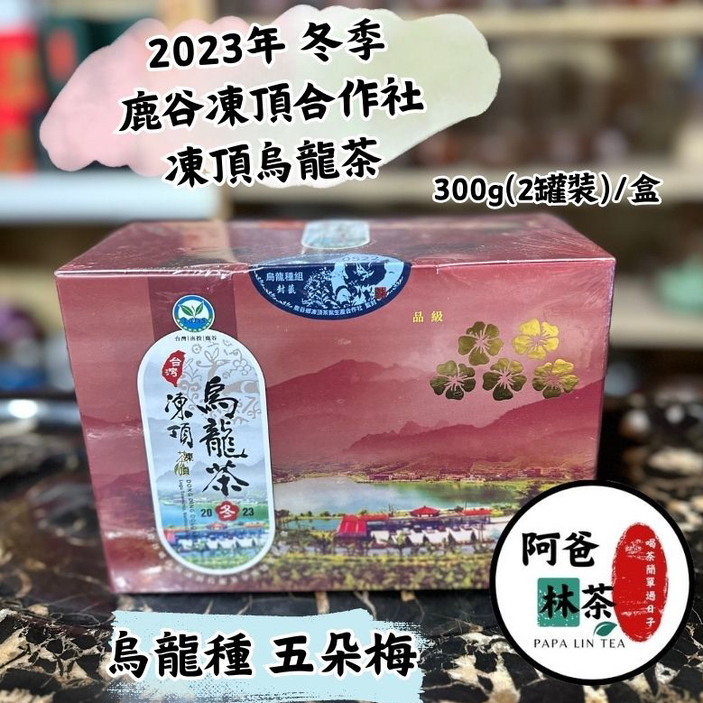 2024烏龍種組春茶（五朵梅花/ 焙火）/已售出: 560件內容量：600g