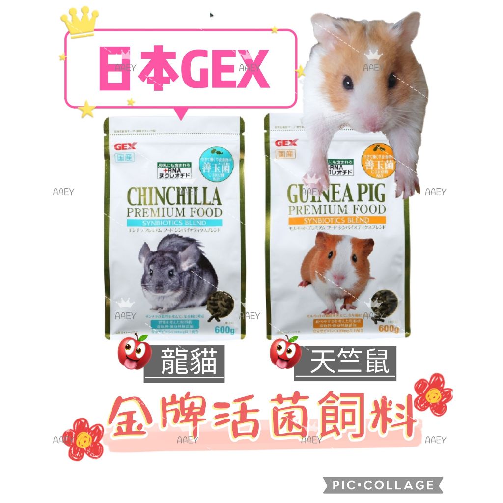 GEX 金牌C3102活菌龍貓料 金牌活菌天竺鼠料600g 日本進口嚴選