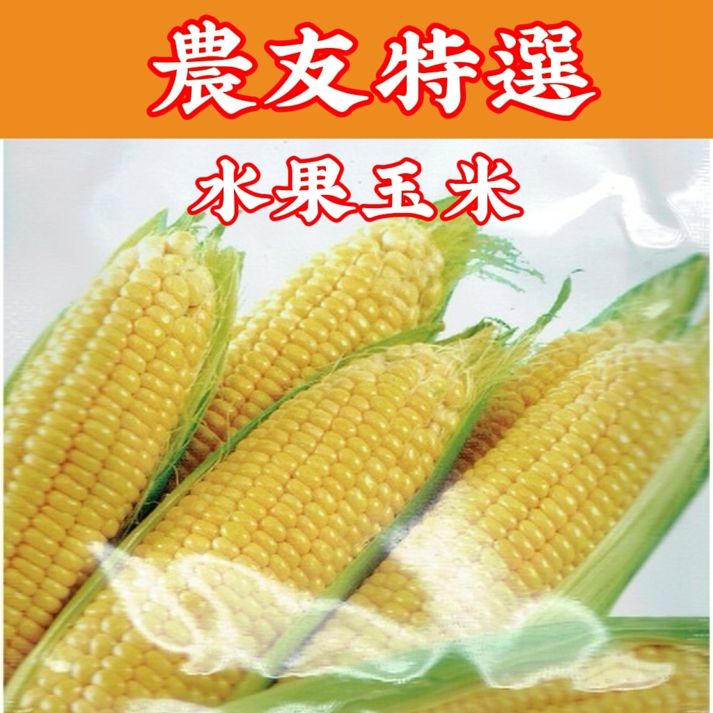 水果玉米 Sweet Corn (sv-415) 玉米 【蔬果 種子】農友種苗特選種子 每包約10公克