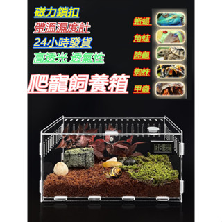 【臺灣現貨】倉鼠籠子 烏龜飼養箱 陸龜飼養箱 爬蟲箱 甲蟲飼養箱 守宮飼養箱 爬蟲飼養箱 昆蟲飼養箱 角蛙 壓克力 壓