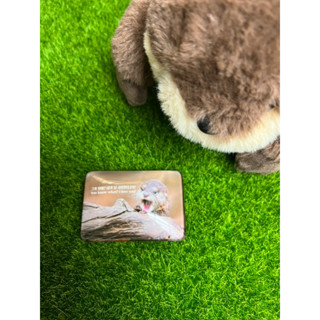 南韓🇰🇷樂天世界水族館 水獺水晶磁鐵 厚片有份量 新品有包裝