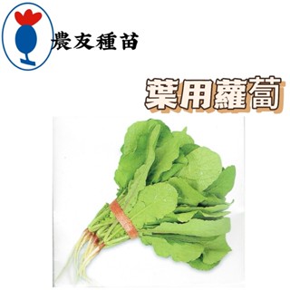 葉用蘿蔔 Leaf Radish【農友種苗】 葉用蘿蔔種子 蘿蔔種子 蔬菜原包裝種子 每包約150粒 新鮮種子