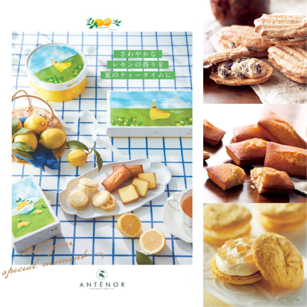 日本 ANTENOR 萊姆葡萄 達克瓦茲 夾心蛋糕 夾心餅乾 餅乾 費南雪 檸檬餅乾 檸檬蛋糕 點心禮盒 餅乾禮盒 送禮
