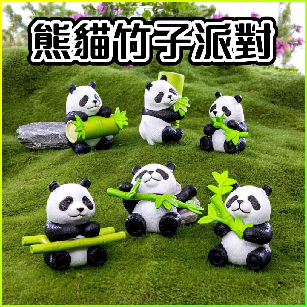 熊貓竹子派對 園藝造景 微景觀 小熊貓 貓熊 祖卡 大熊貓 多肉 動物 花花 果來 祖卡 辦公室擺飾 多肉盆栽