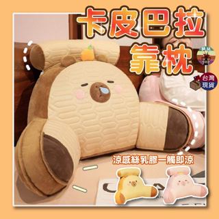 【臺灣現貨 涼感乳膠】咔皮吧拉 水豚 靠枕 床頭靠墊 腰靠 靠墊 靠背枕 腰枕 靠腰枕 護腰靠墊 三角靠枕 腰墊