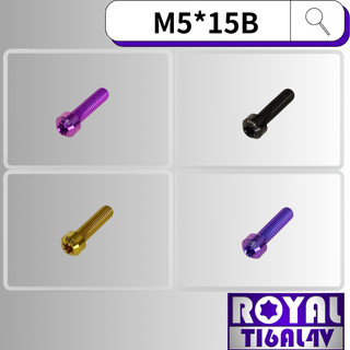 【瘋螺絲】ROYAL 鈦合金螺絲★ M5*15B P:0.8 錐形螺絲★64鈦/正鈦/鈦合金螺絲★出貨附發票★五色可選