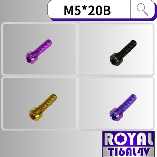 【瘋螺絲】ROYAL 鈦合金螺絲★ M5*20B P:0.8 錐形螺絲★64鈦/正鈦/鈦合金螺絲★出貨附發票★五色可選