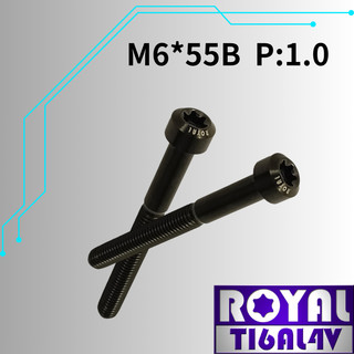 【瘋螺絲】ROYAL 鈦合金螺絲★ M6*55B P:1.0 錐形螺絲★ 64鈦/正鈦/鈦合金螺絲★出貨附發票★帝王黑