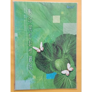20格 A4 印表機 影印 自黏標籤紙(10張入)