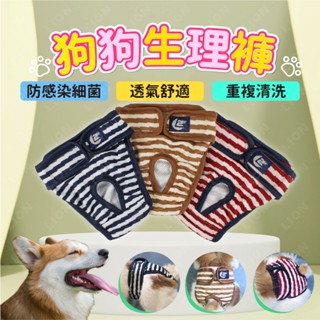 狗狗生理褲 Ｎｅｗ舒適透氣✨臺灣現貨 狗生理褲 寵物生理褲 狗狗 大狗 中型犬 小狗 生理褲 不外漏 可更換 防感染