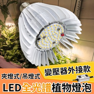 【君沛植物生長燈】 50W植物生長燈 LED植物燈泡 50瓦 全光譜 變壓器外接款