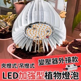 【君沛】50瓦 加強型光譜 LED 植物生長燈 變壓器外接款