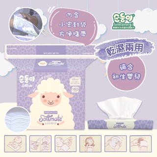 韓國 順順兒 索美樂 高階乾濕兩用柔巾 160抽 柔絲巾 乾濕兩用