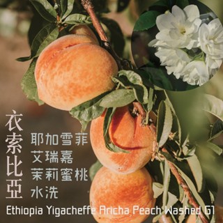 【好日Coffee Roaster】衣索比亞 耶加雪菲 艾瑞嘉 茉莉蜜桃 水洗 G1｜淺焙｜咖啡豆｜手沖｜精品咖啡｜